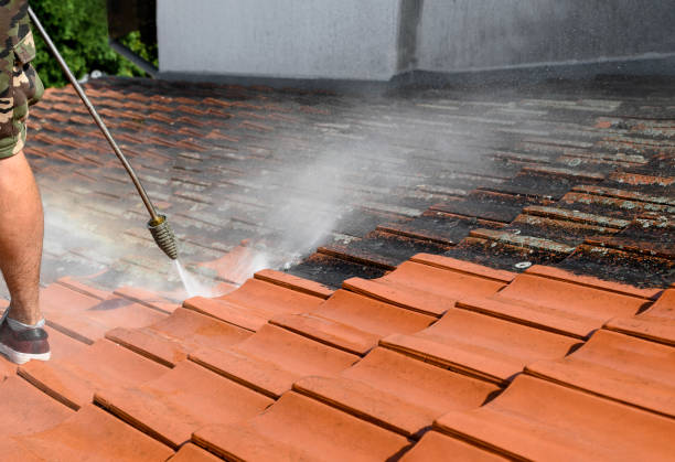 Best Pressure Washing Near Me  in Dallesport, WA