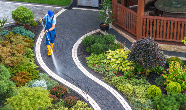 Best Pressure Washing Company Near Me  in Dallesport, WA